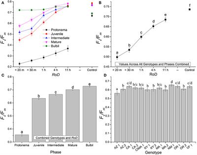 Effects of Rate of Drying, Life History Phase, and Ecotype on the Ability of the Moss Bryum Argenteum to Survive Desiccation Events and the Influence on Conservation and Selection of Material for Restoration